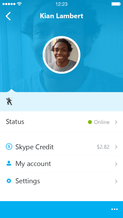 Skype_5.0_iPhone_profile