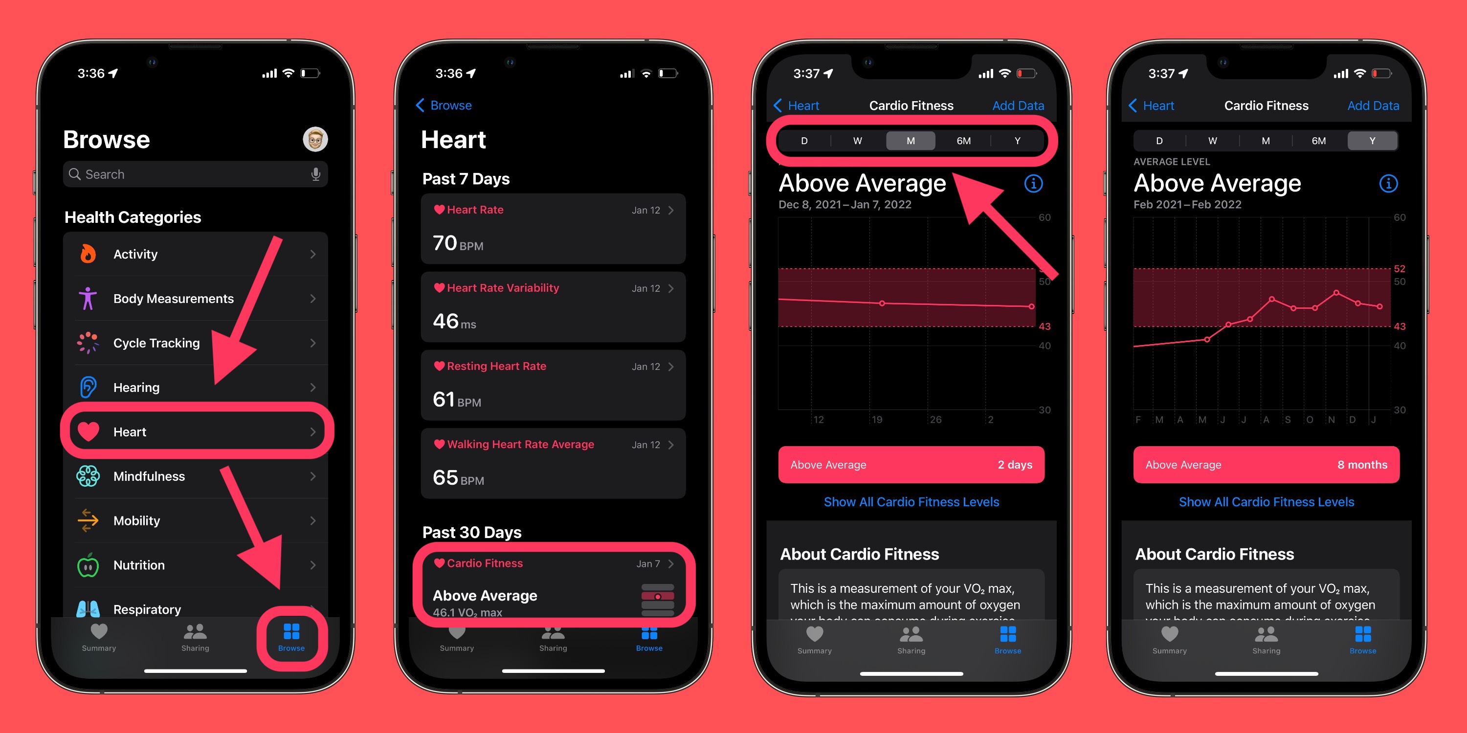 Tutorial zum Überprüfen von Cardio Fitness auf der Apple Watch und dem iPhone