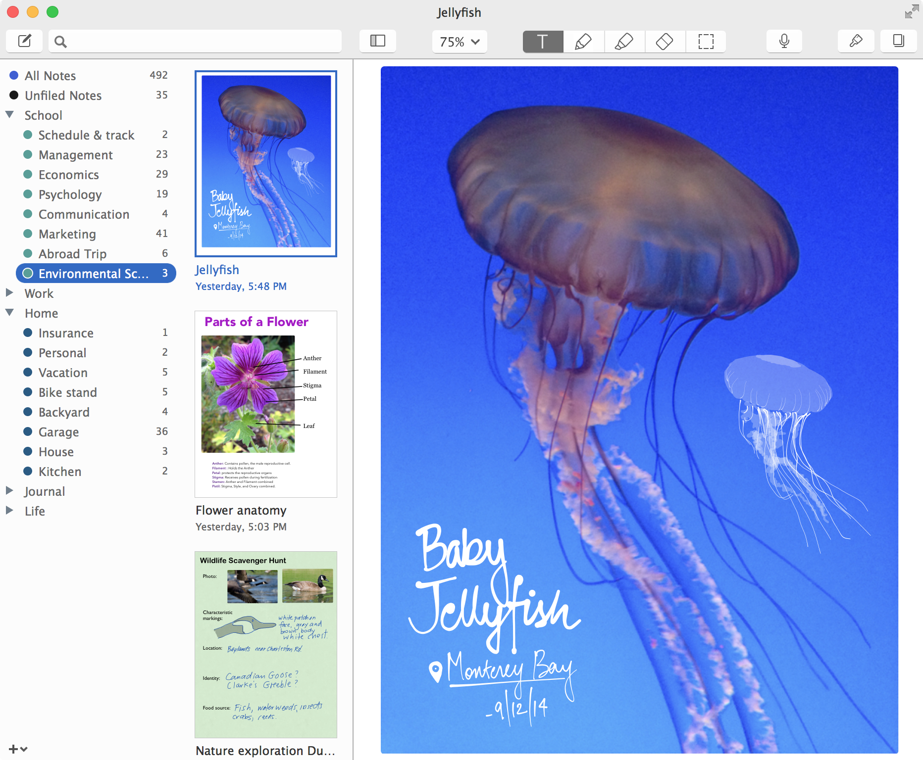 Popular iOS note taking app Notability comes to Mac - 9to5Mac