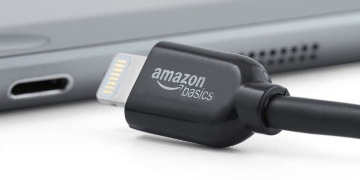 Amaozn basics-Lightning cable