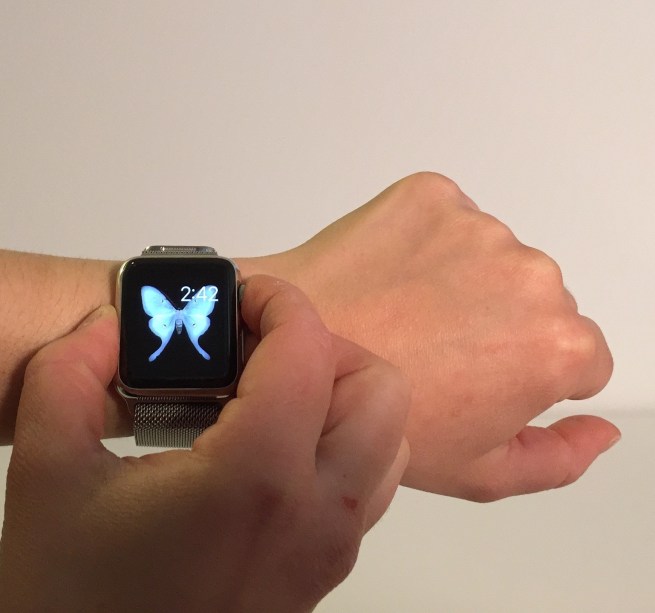 Apple Watch Screenshot