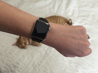 Apple Watch Tap