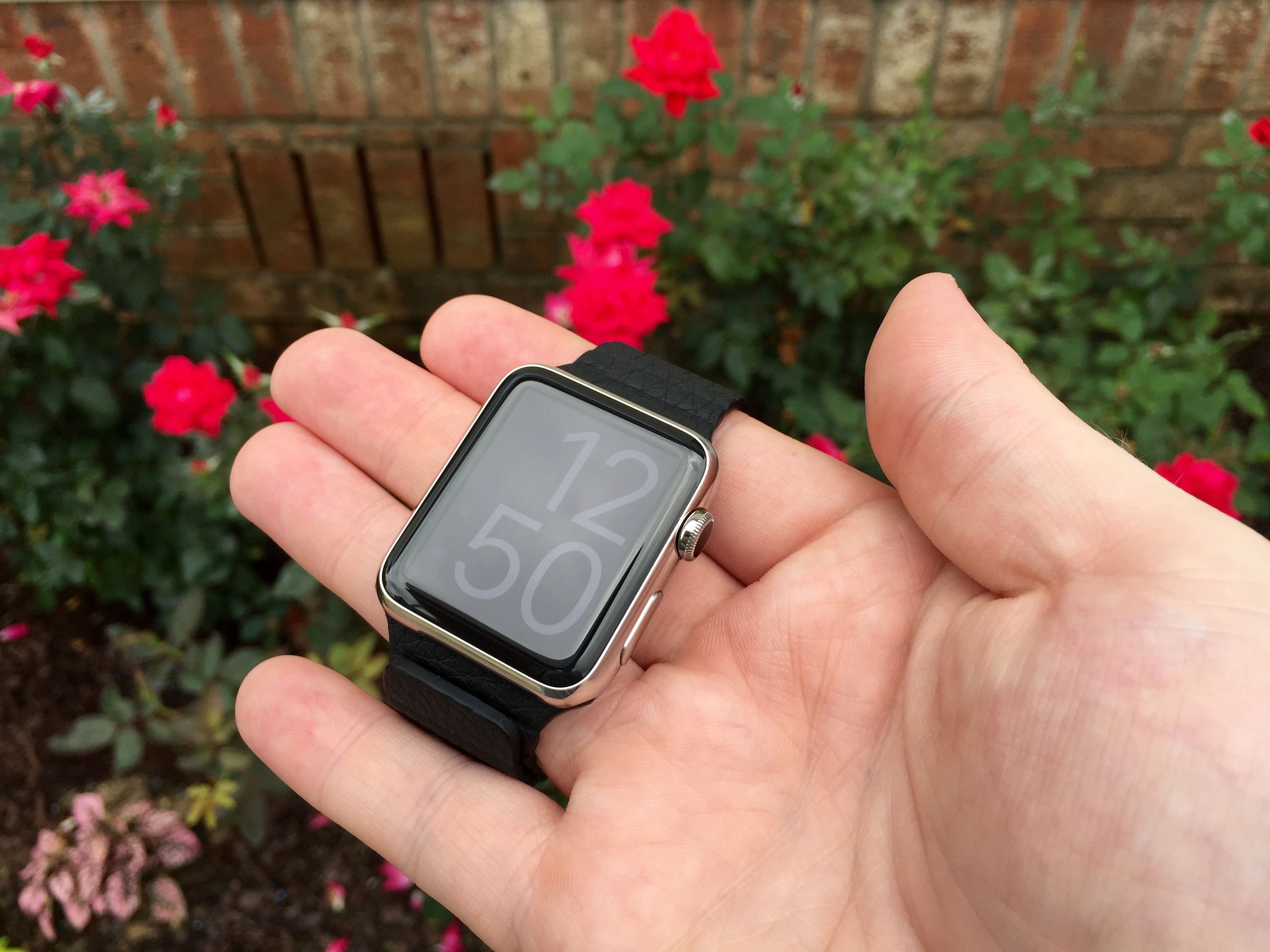 Apple Watch X-Large Sun