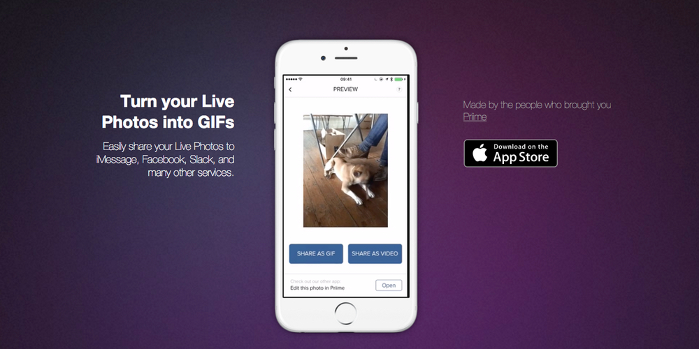 Turn your Live Photos into GIFs with new Live GIF app - 9to5Mac