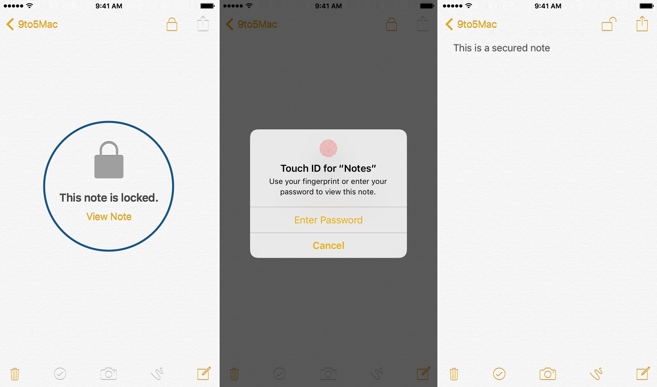 How To Set Up And Use Password Protected Notes On Ios 9 3 Video 9to5mac