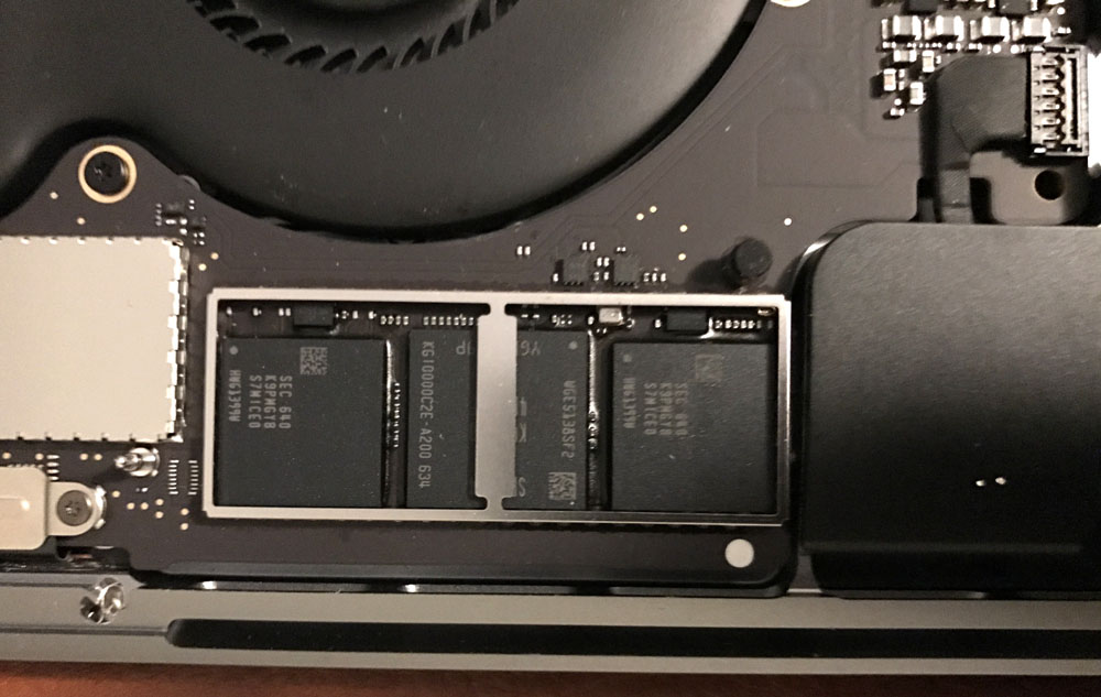 With the shielding removed, these appear to be the SSD chips