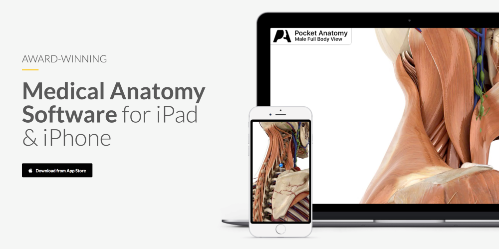 pocket-anatomy-5