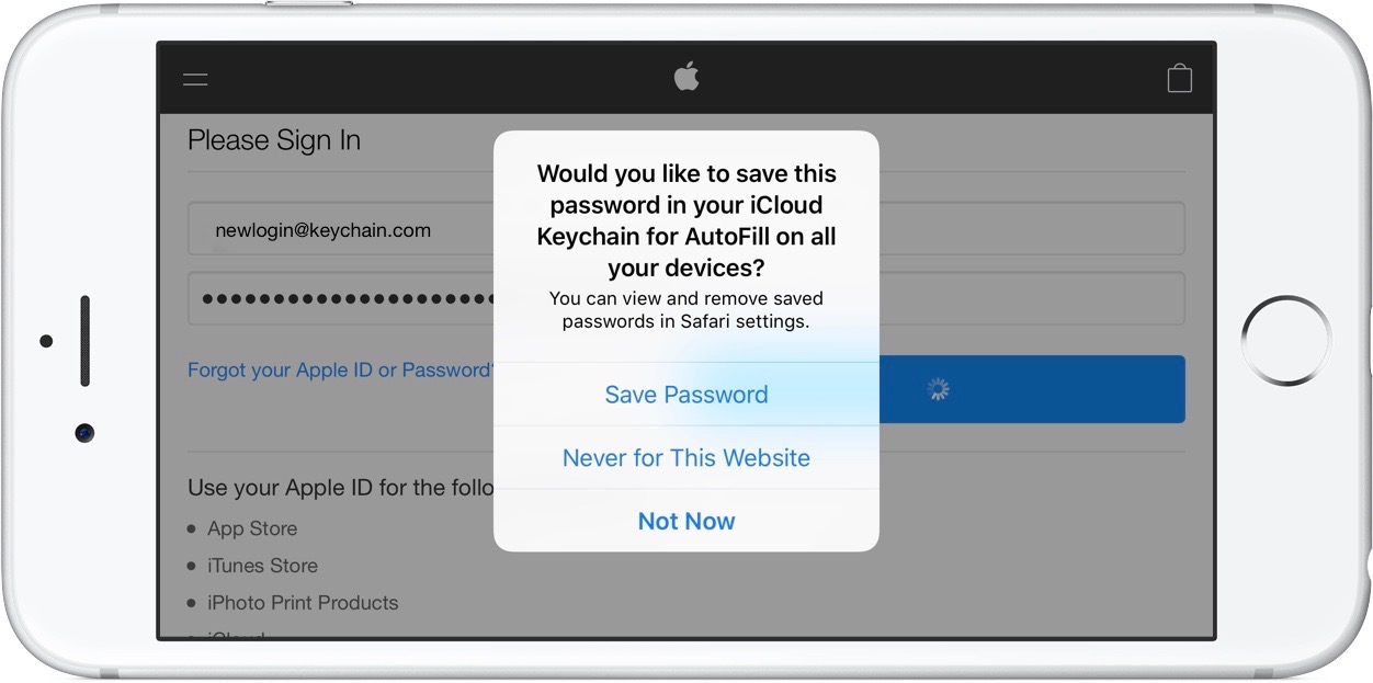 How To Use Icloud Keychain On Your Iphone 9to5mac