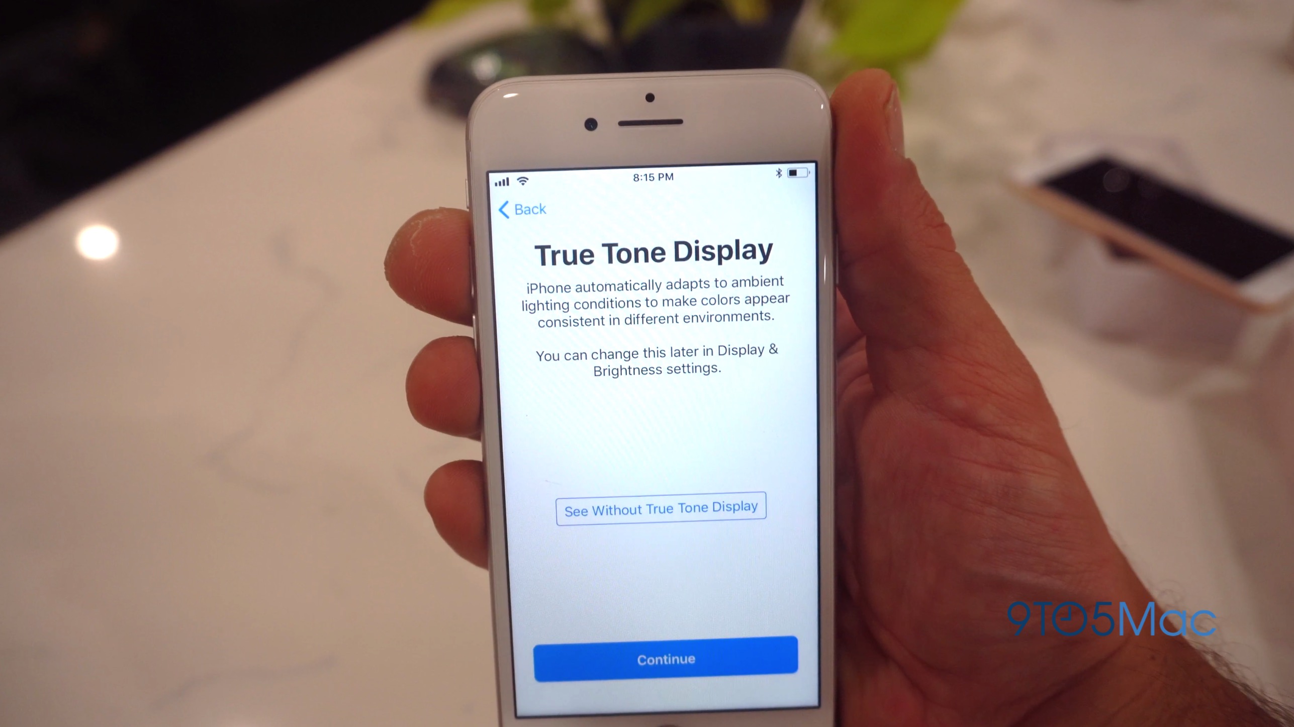 Функция true tone. Iphone 8 Plus true Tone. True Tone iphone 6s. Iphone 12 true Tone. True Tone iphone se.