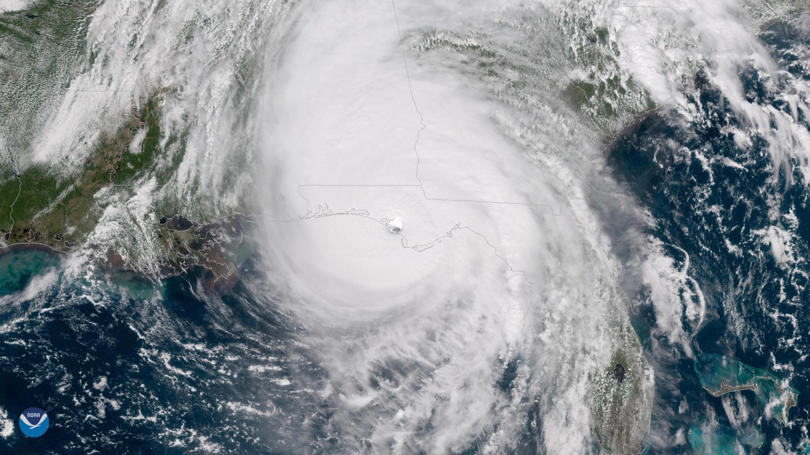 photo of Tim Cook says Apple will donate to Hurricane Michael recovery & relief efforts image