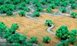 Apple Park LEGO