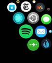 Spotify Apple Watch app