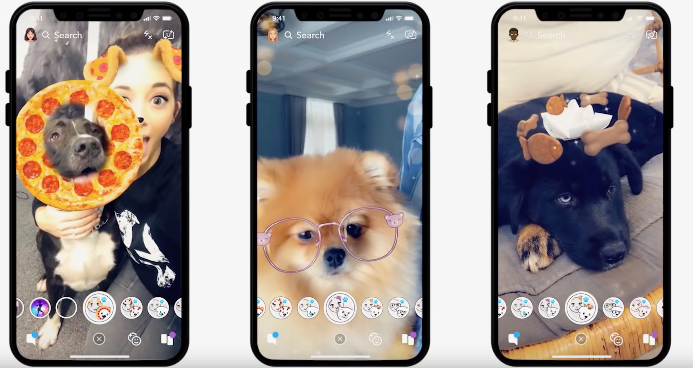 Snapchat dog lenses: They're finally here 
