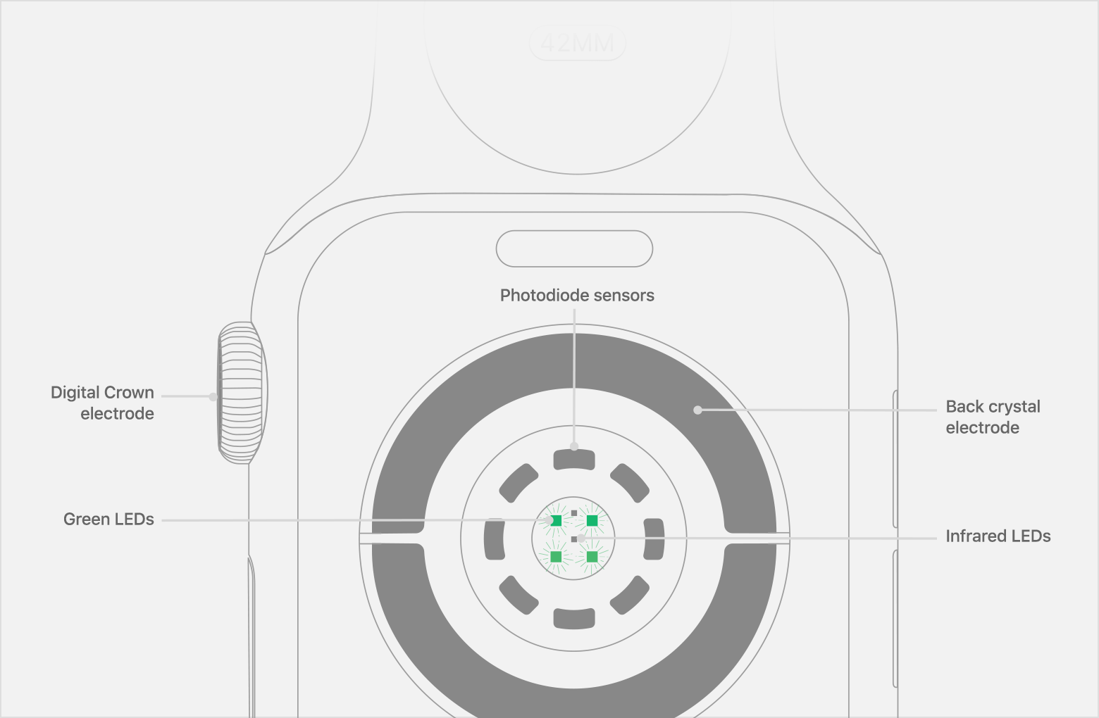 apple watch series 4 heart sensor