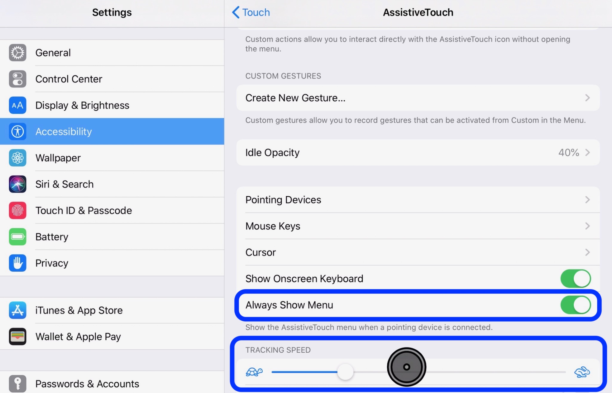 How to customize the mouse cursor on iPad: tracking speed