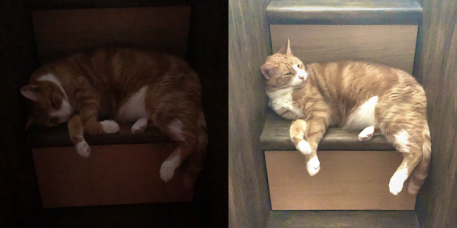 NeuralCam is a new app for taking iPhone photos in the dark NeuralCam demo