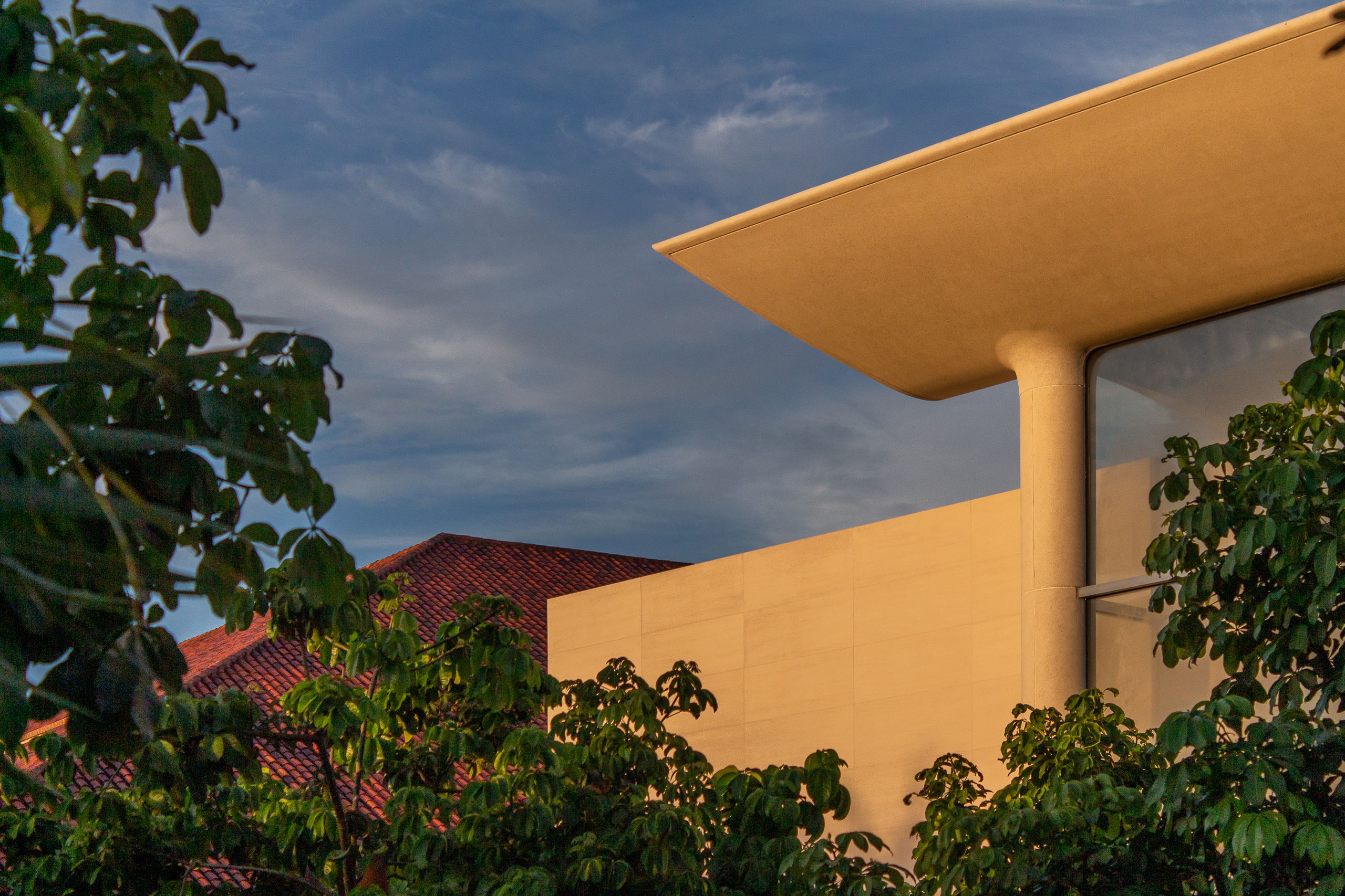 Wavy white concrete roof tops Foster + Partners' Aventura Apple store in  Miami