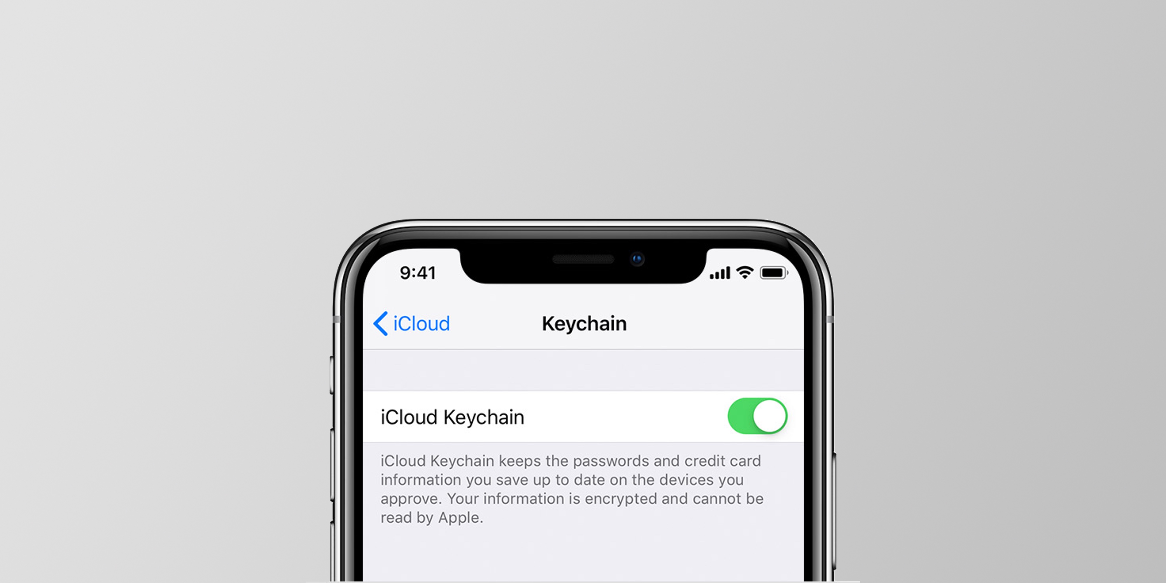 icloud passwords