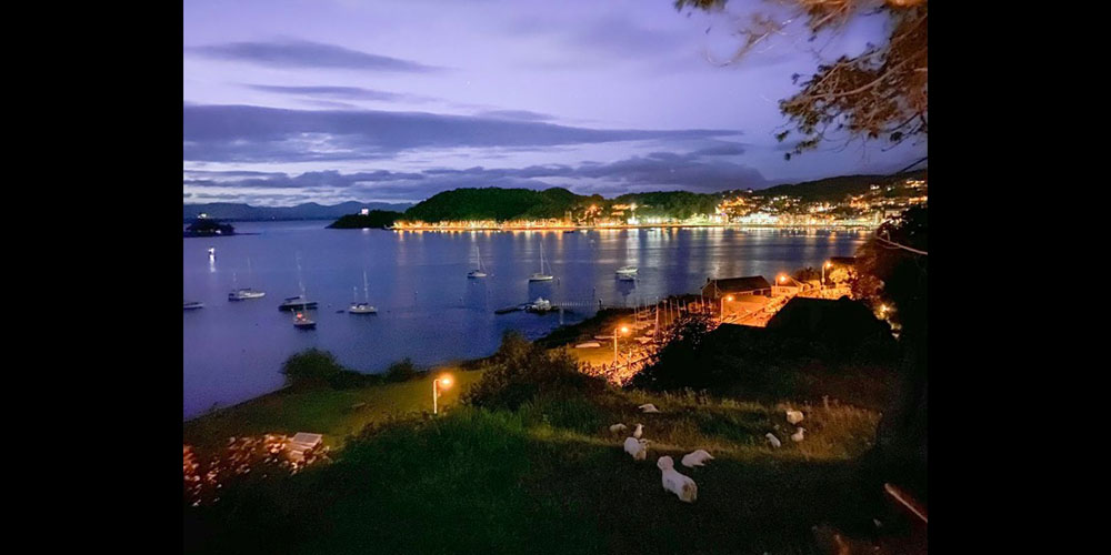 Iphone 11 Pro Camera Test Concludes Close To Dslr Results 9to5mac