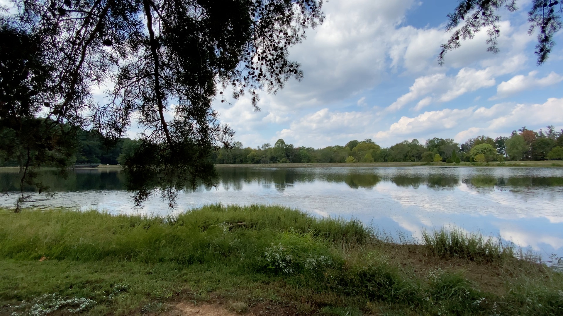 Top iPhone 11 Pro features – a smartphone built for photo and video enthusiasts