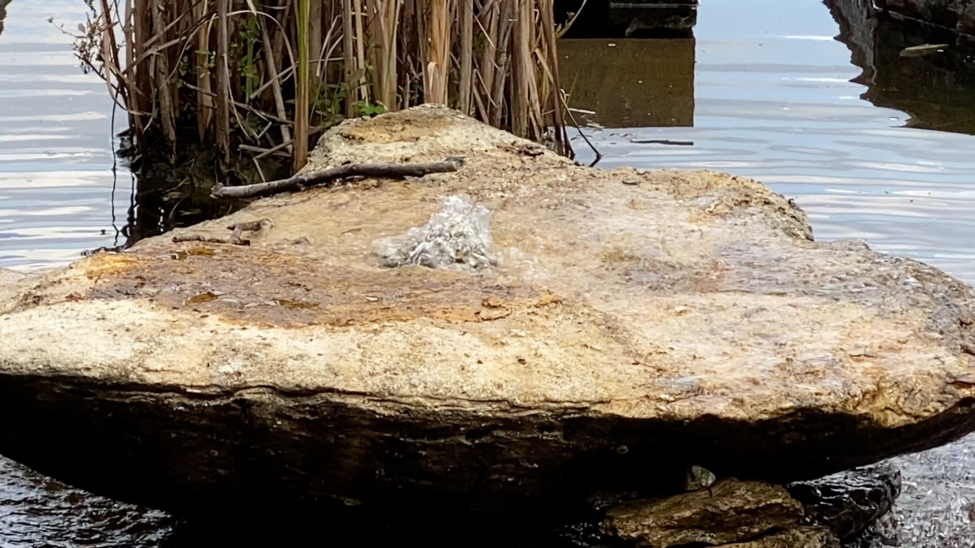 Top iPhone 11 Pro features – a smartphone built for photo and video enthusiasts