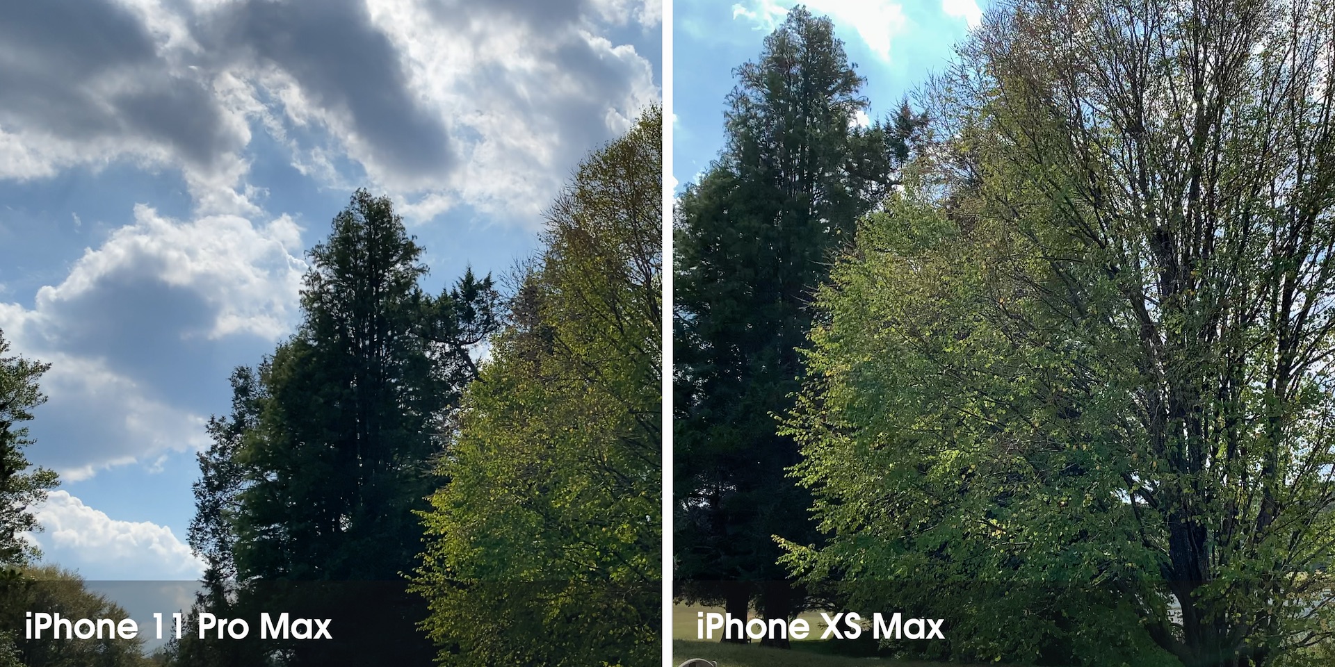 Top iPhone 11 Pro features – a smartphone built for photo and video enthusiasts