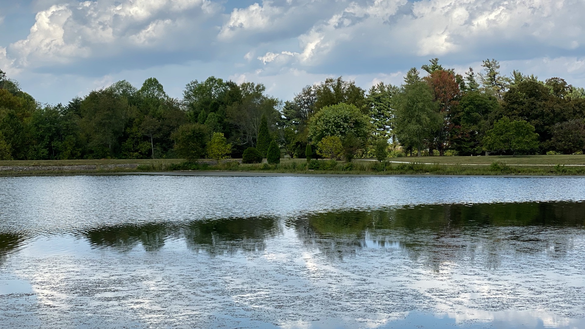 Top iPhone 11 Pro features – a smartphone built for photo and video enthusiasts