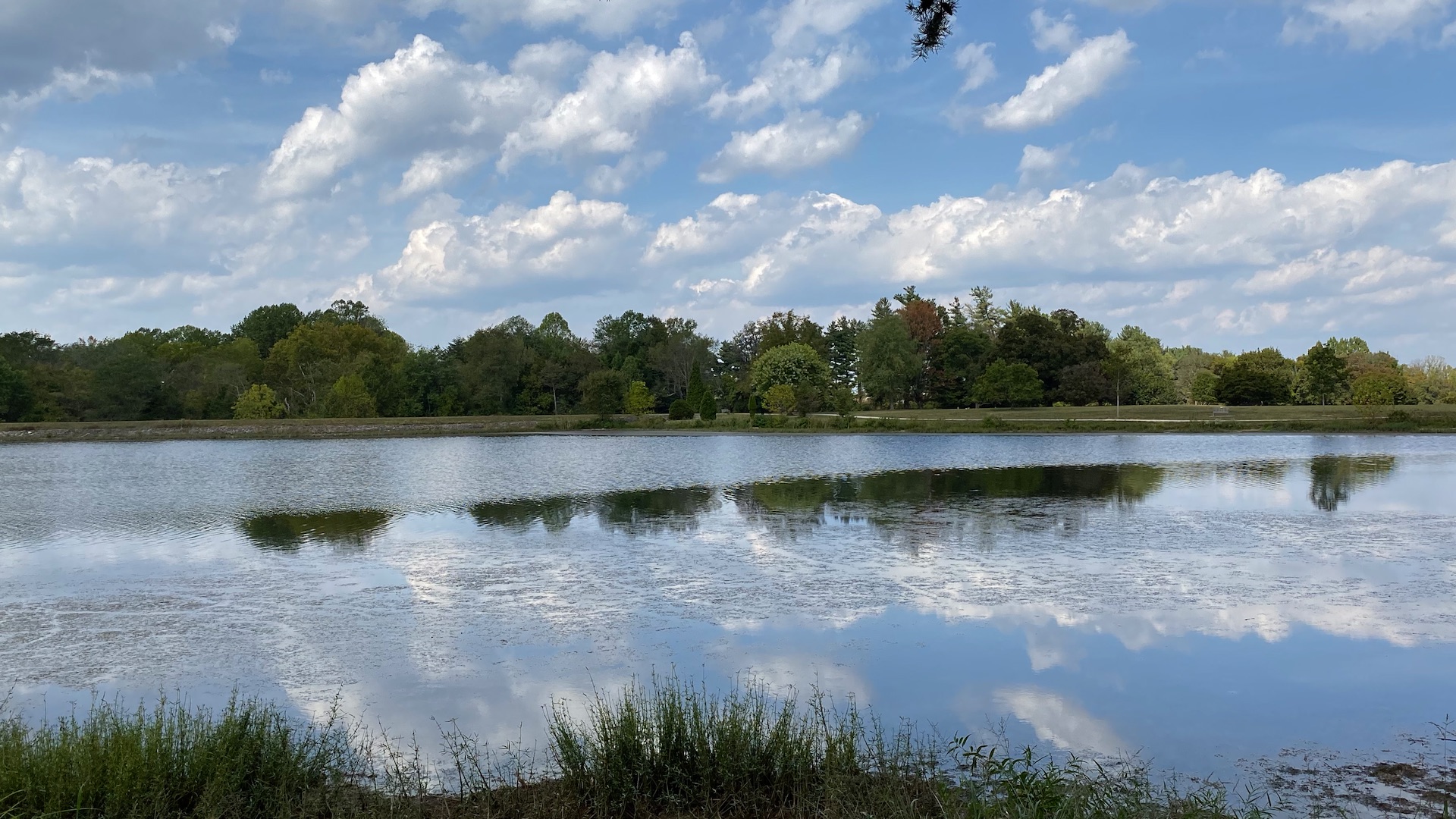 Top iPhone 11 Pro features – a smartphone built for photo and video enthusiasts