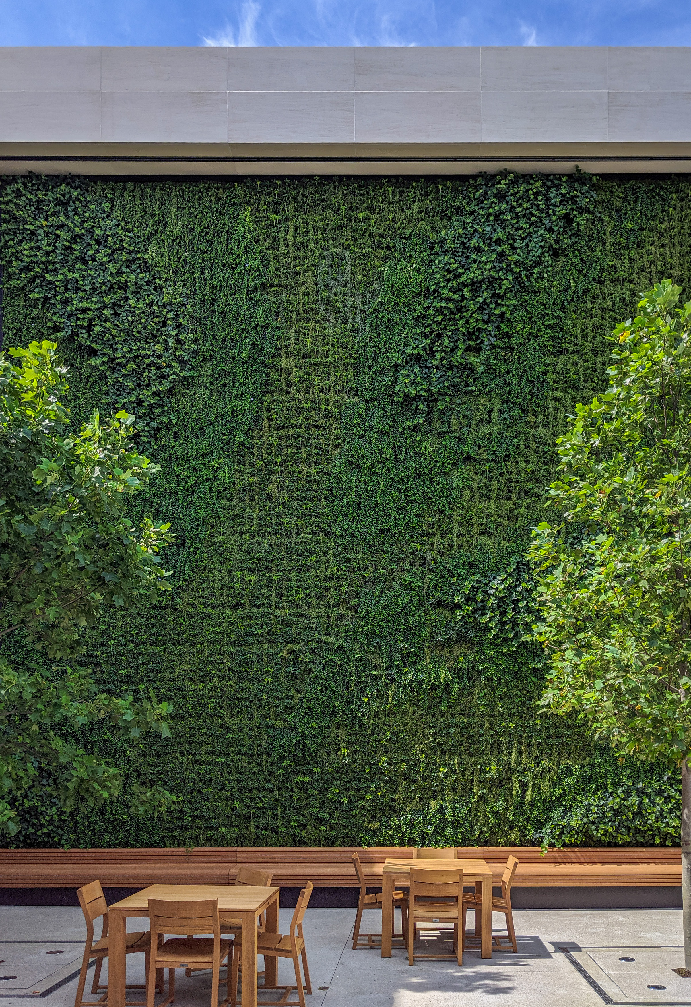 Apple Oxmoor Green Wall