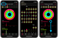 Apple Watch How To See Your Workout History And Trends