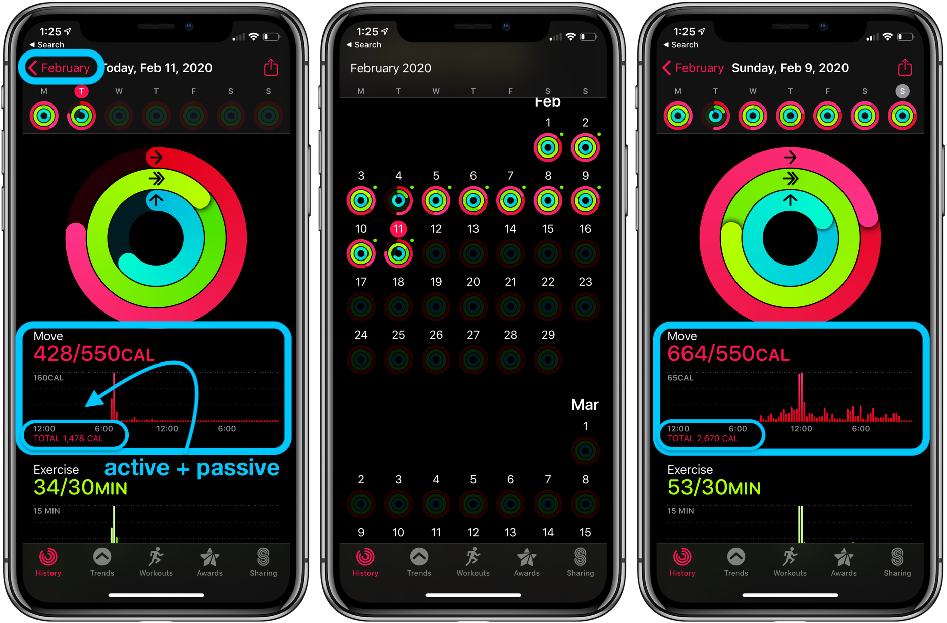 60 Best Images Best Calorie Counter App For Apple Watch : Best Apple Watch Fitness Apps In 2021 Igeeksblog