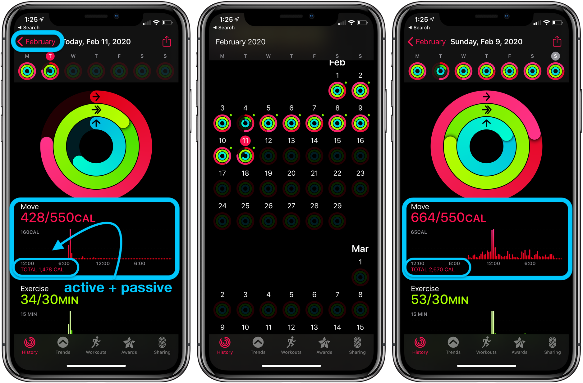 Apple Watch How to see calories burned, active and passive 9to5Mac