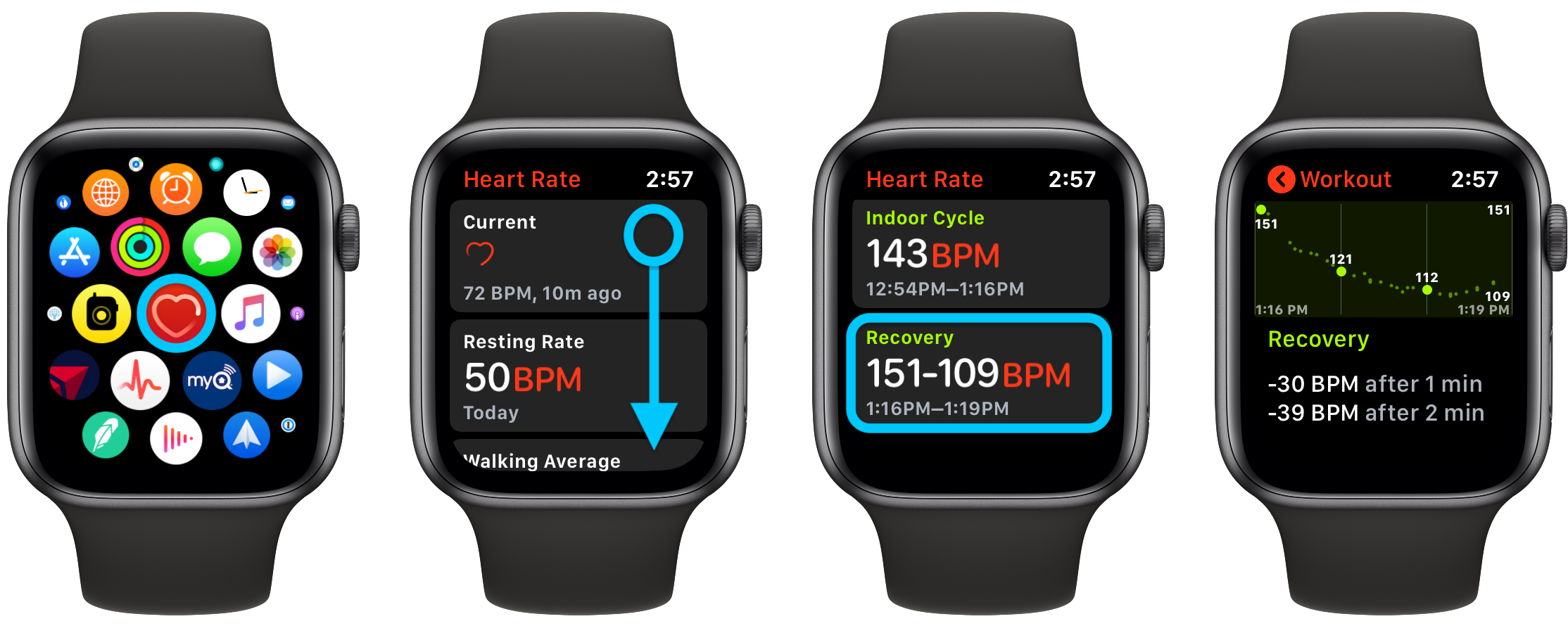 apple watch pulse app