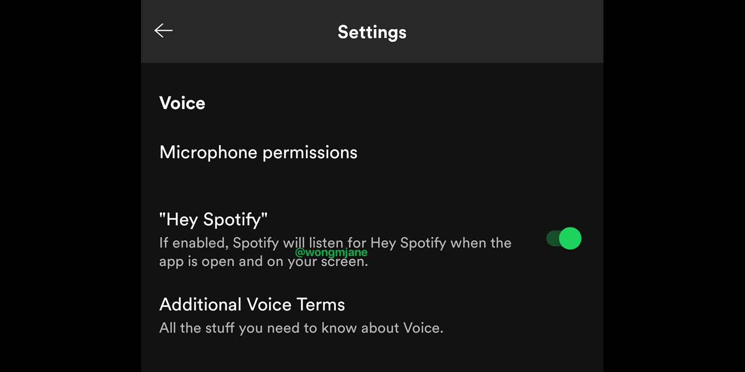 how to download spotify on mac pro