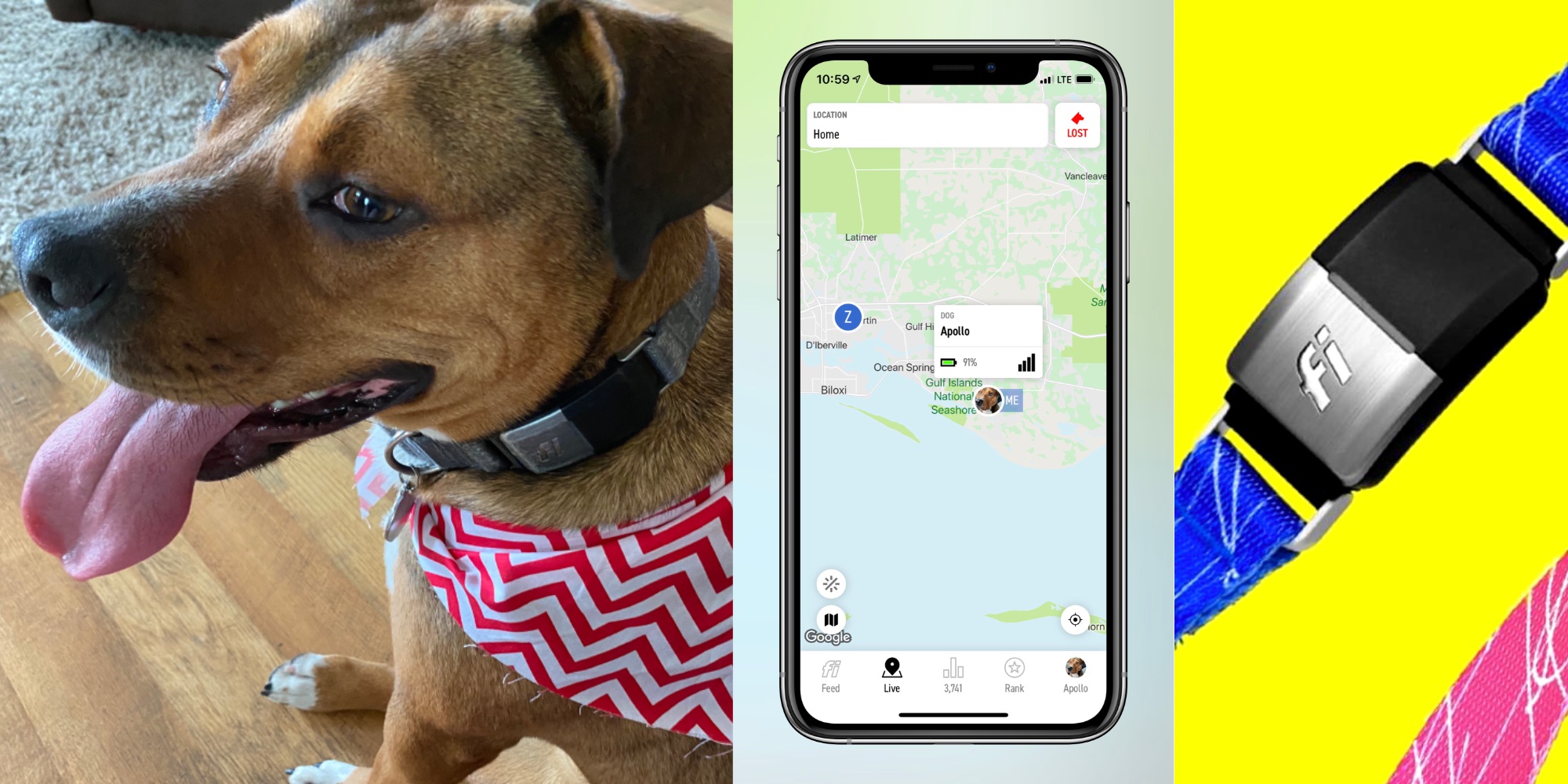 First dedicated dog tag with Find My now available (but there are