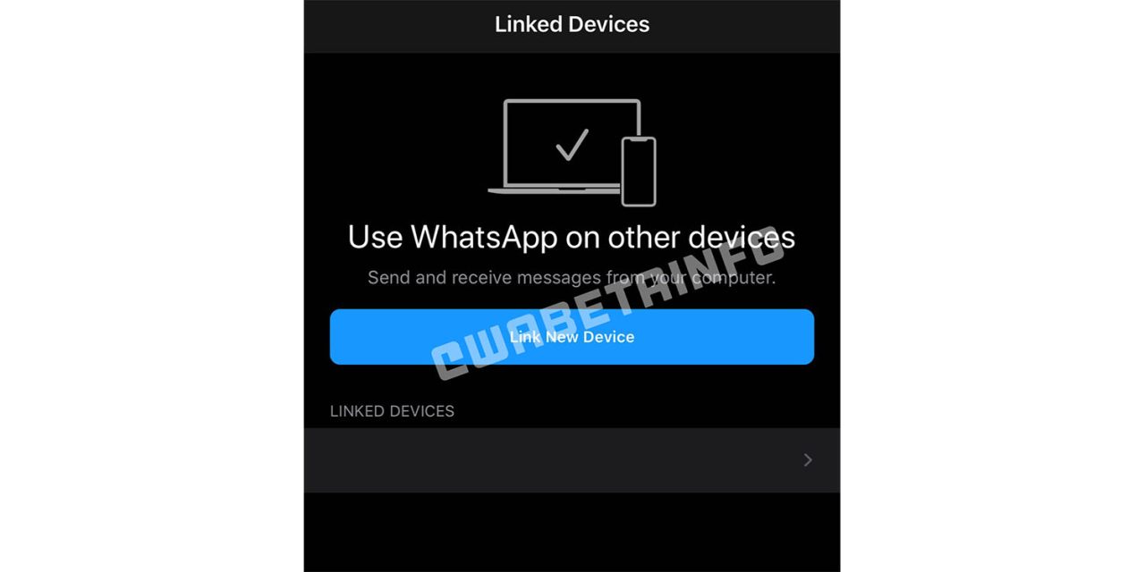 WhatsApp iPad app still on the way