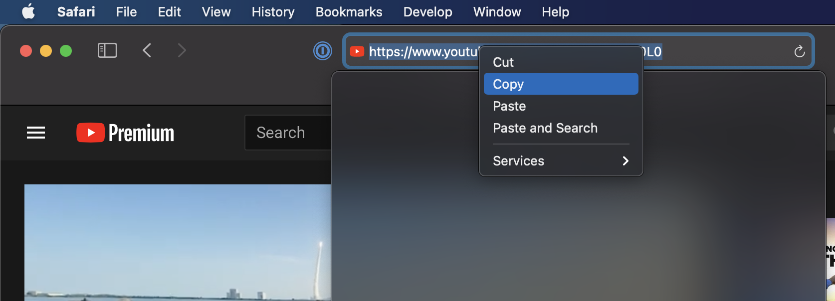 Online video downloader for mac