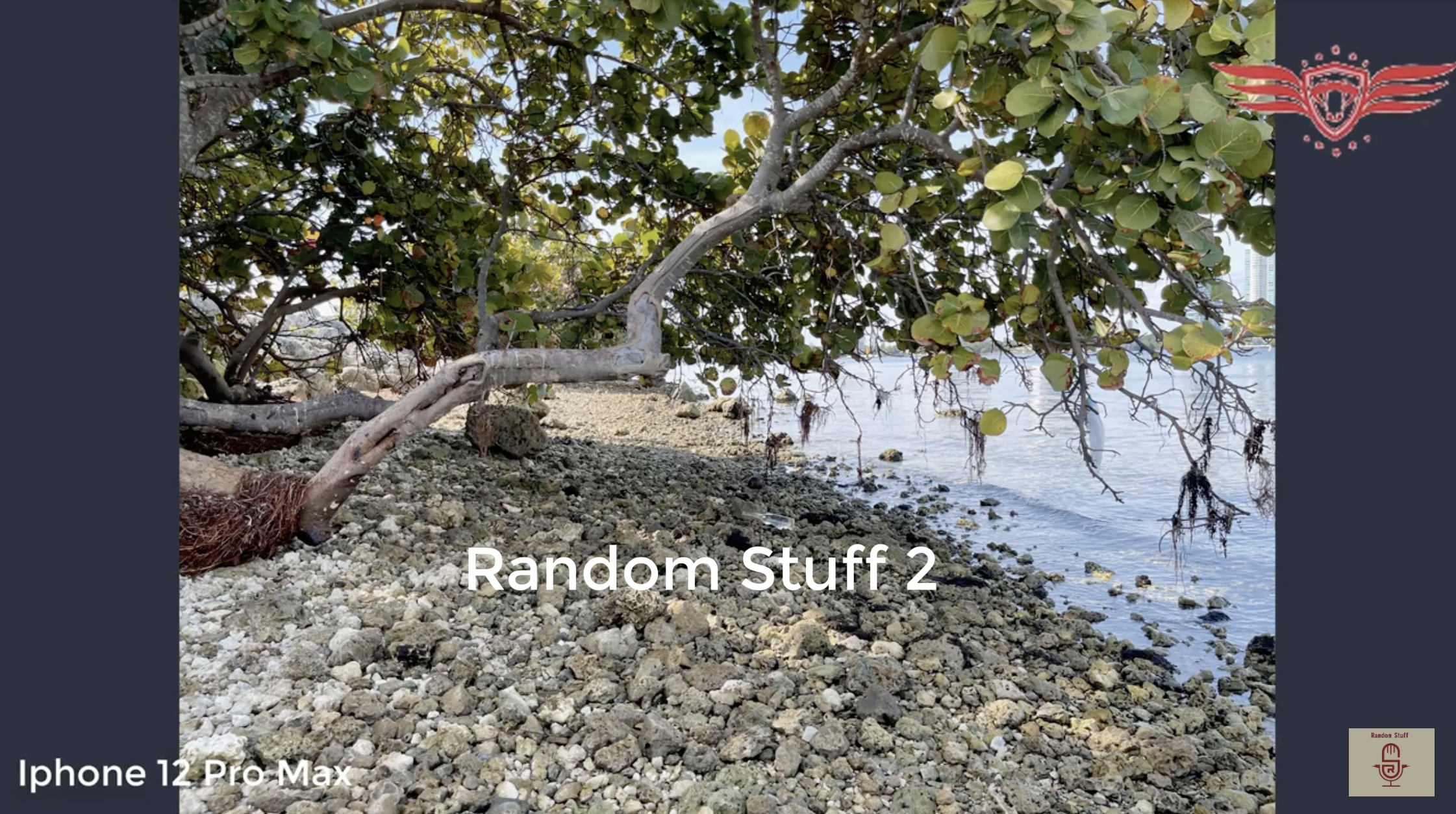 iPhone 12 Pro Max outshines unreleased Samsung Galaxy S21+ in early camera test