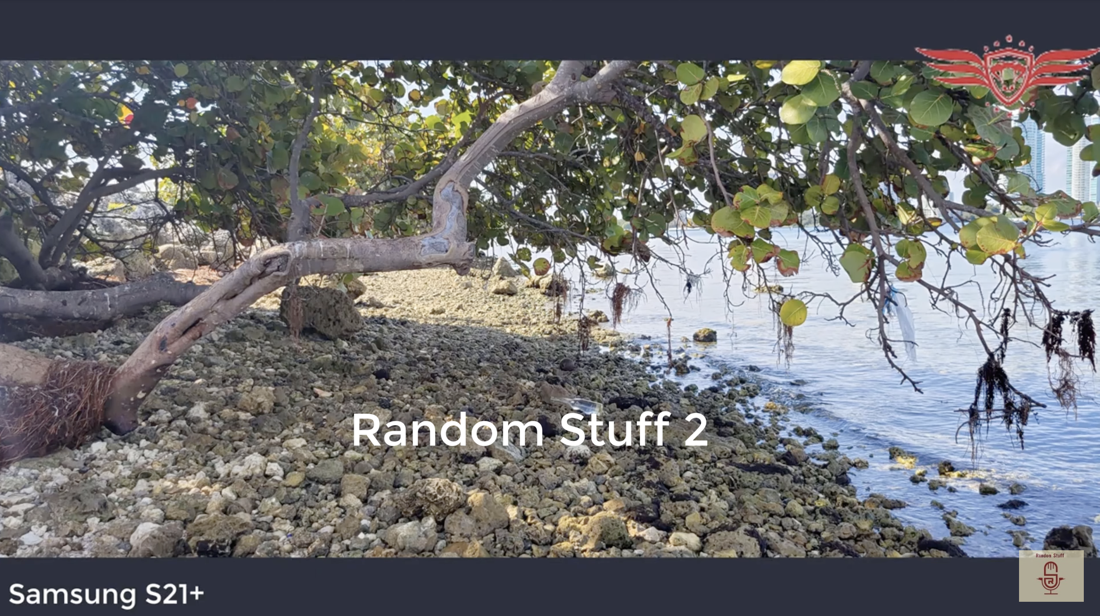 iPhone 12 Pro Max outshines unreleased Samsung Galaxy S21+ in early camera test