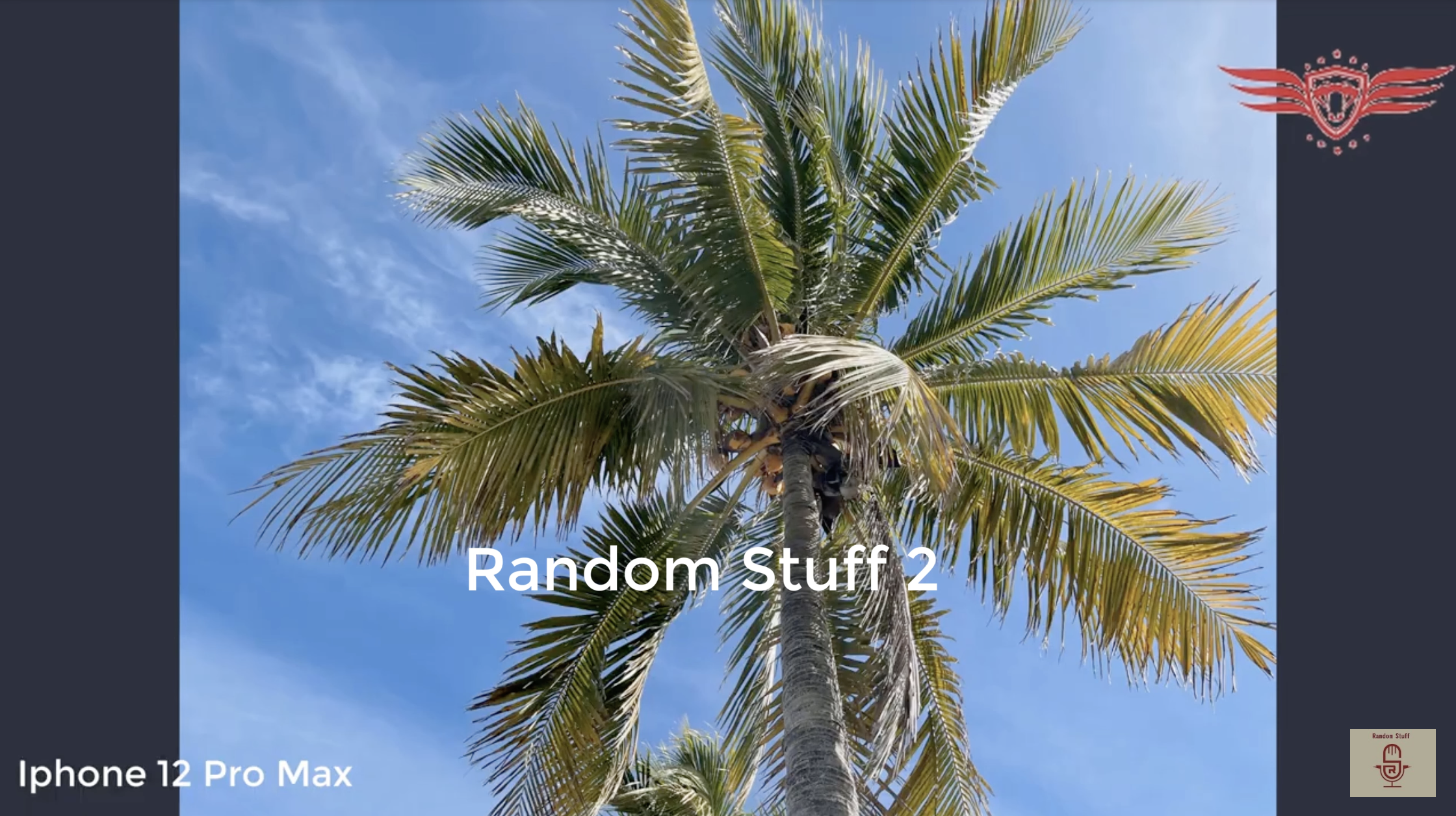 iPhone 12 Pro Max outshines unreleased Samsung Galaxy S21+ in early camera test
