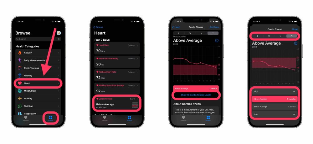 how-to-use-cardio-fitness-on-iphone-and-apple-watch