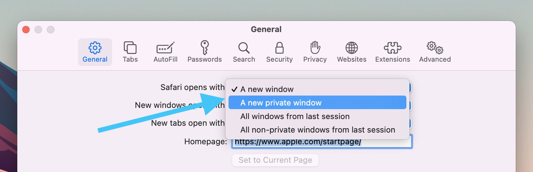 private browser for mac