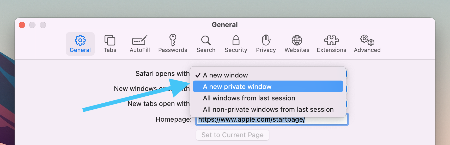 how-to-use-private-browsing-on-mac-keyboard-shortcut-more-9to5mac