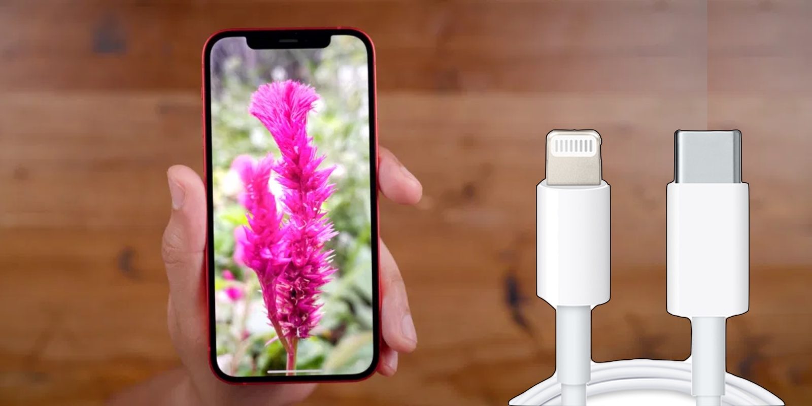 Using the Wrong Charger Could Damage or Destroy Your iPhone