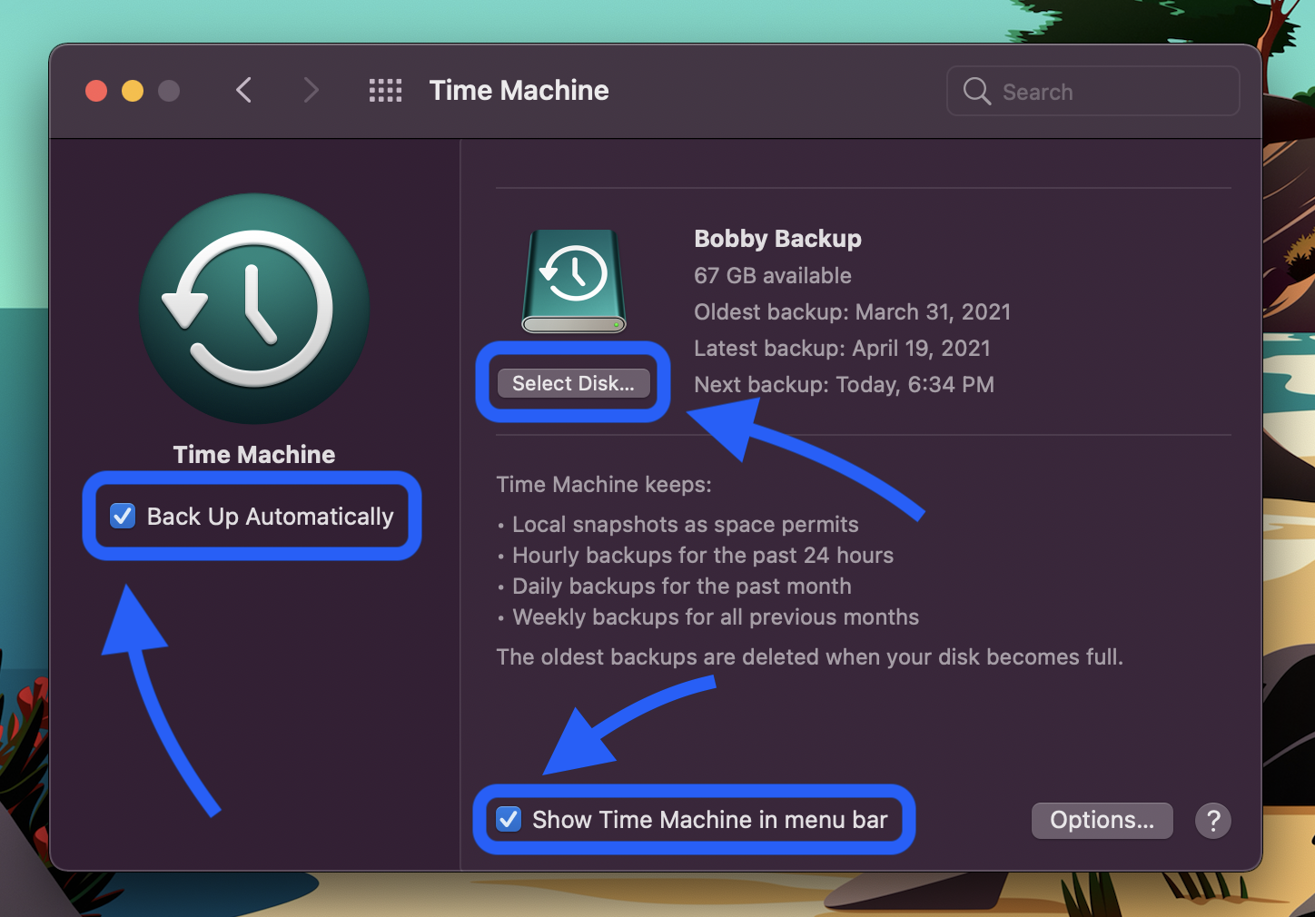 external hard drive time machine vs manual backup