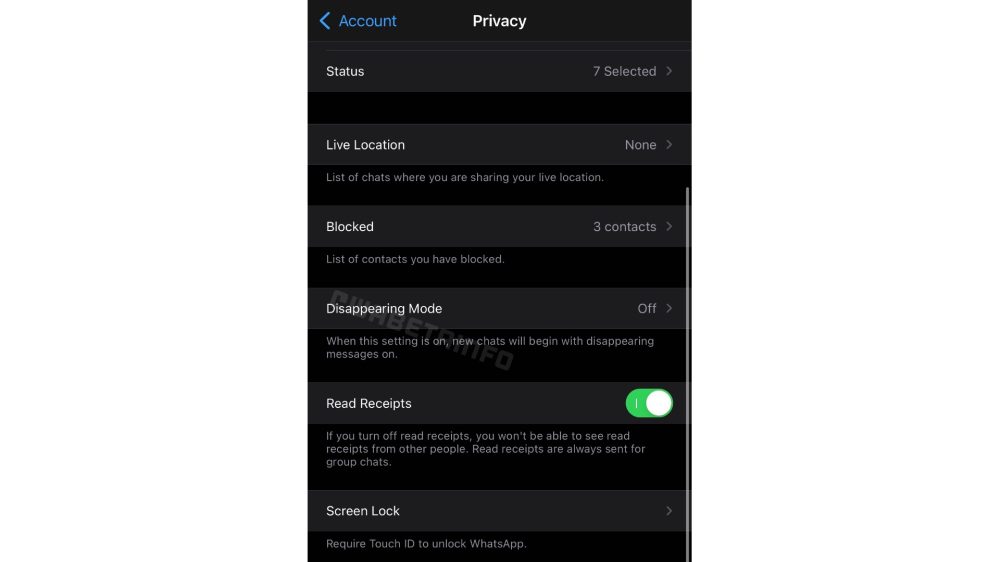 WhatsApp para iOS para suportar o modo de desaparecimento focado na privacidade