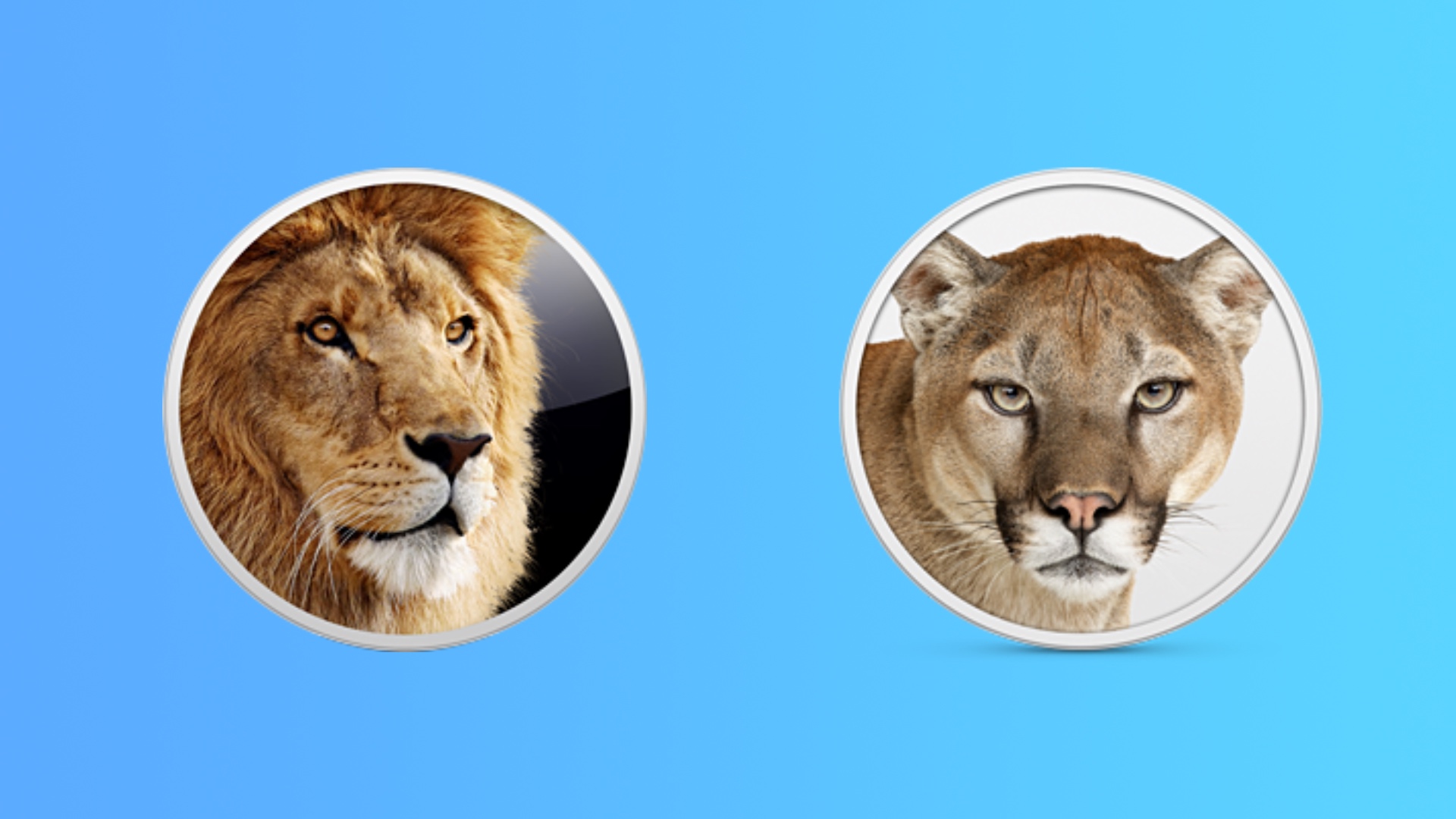 free lion software for mac