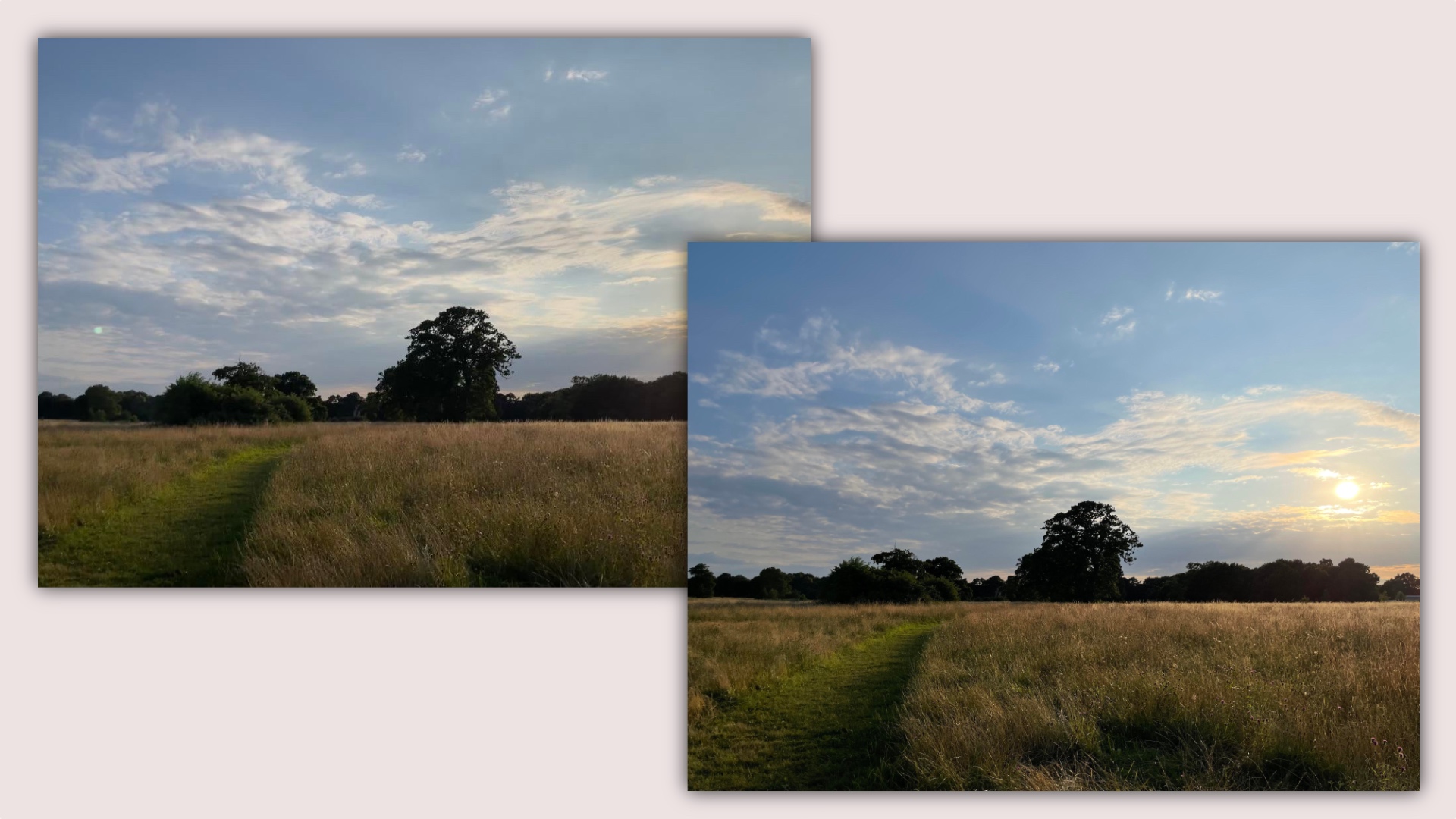 PSA: iOS 15 beta 4 can auto-remove lens flares in photos - 9to5Mac