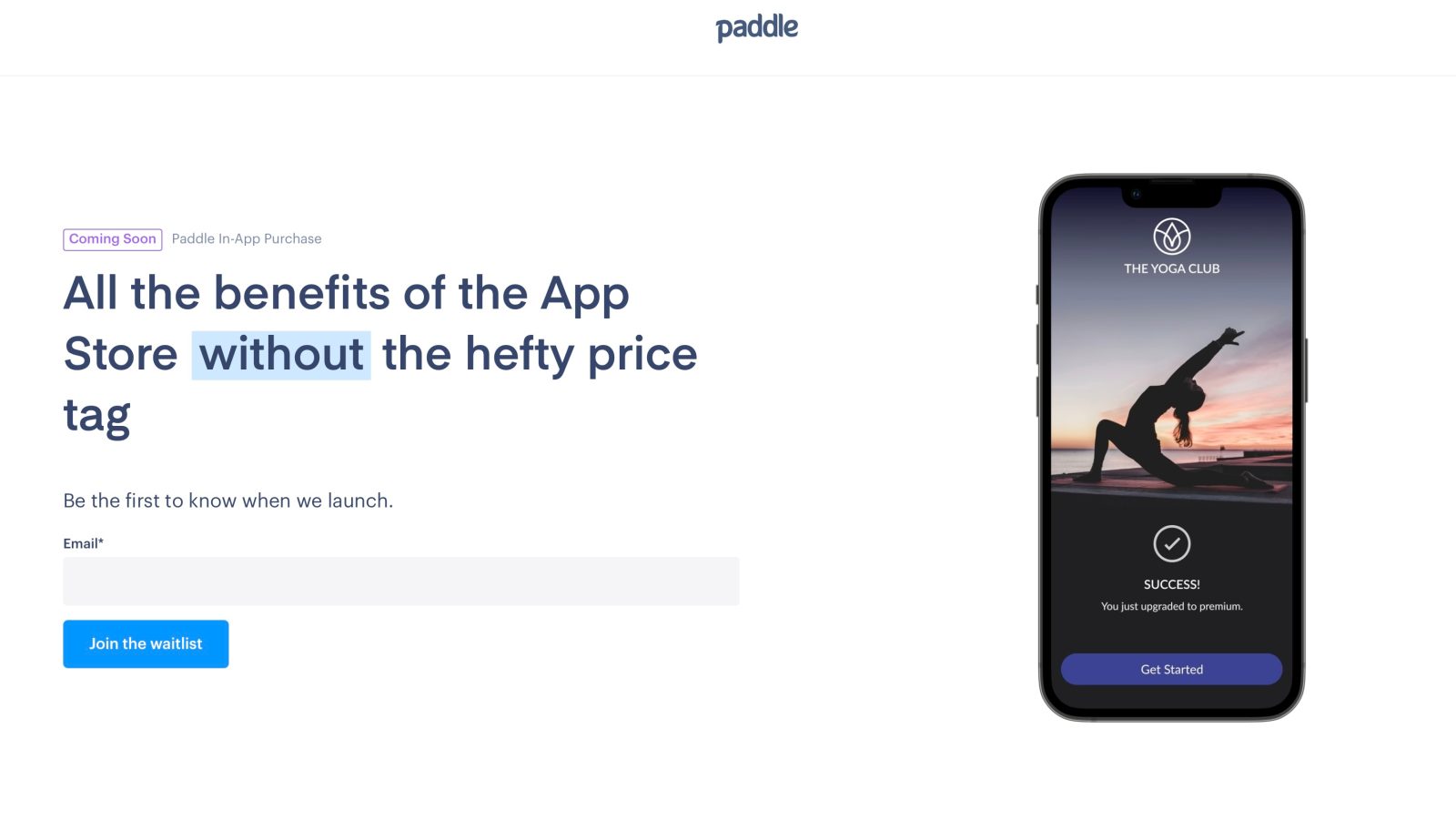 paddle App Store alternative payment system