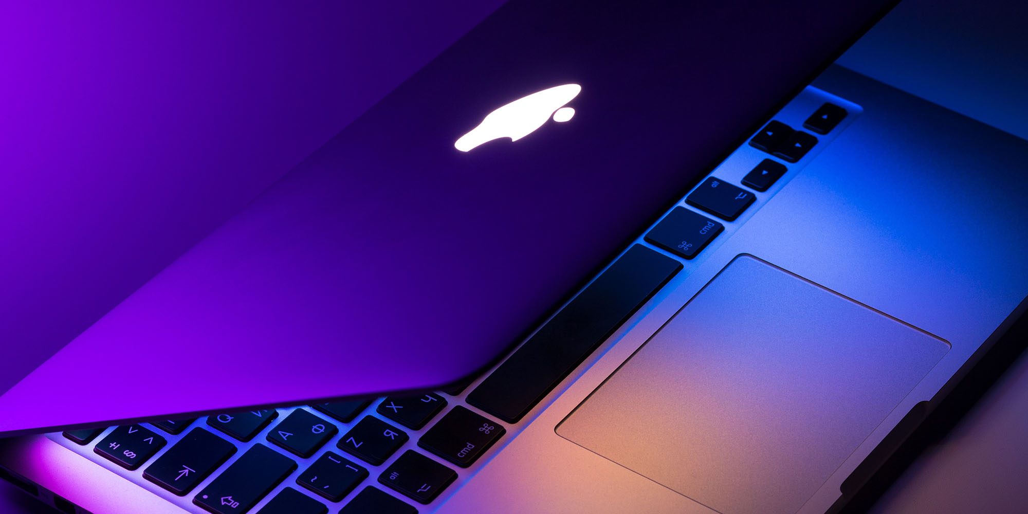 Какие функции конфиденциальности ноутбуков вы хотели бы видеть в MacBook?